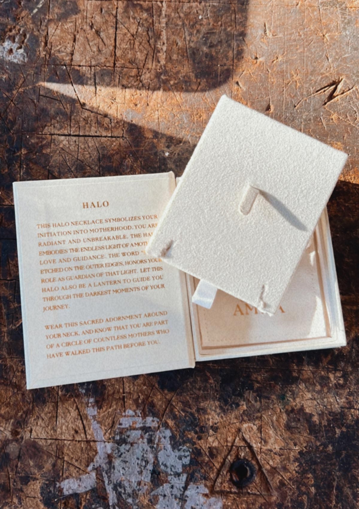 The Halo Necklace in 14K Solid Gold