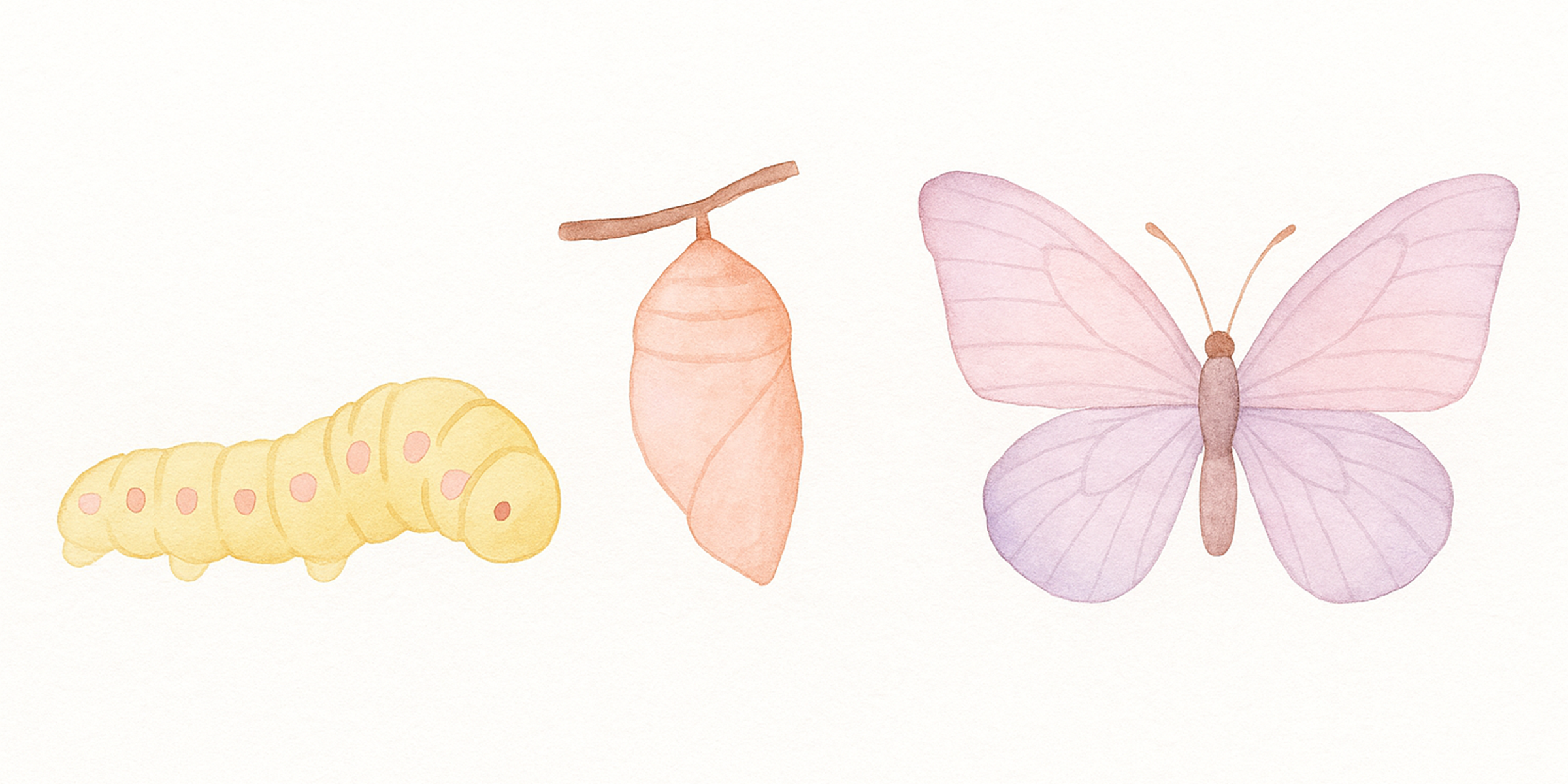 A Reflection on Transformation 🦋